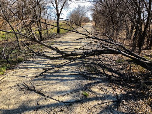 Meadowlark Trail - Blocked by Trees