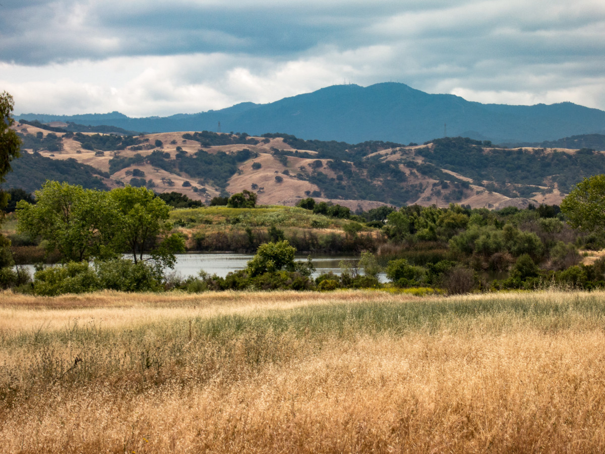 7 Years Cycling: Coyote Valley