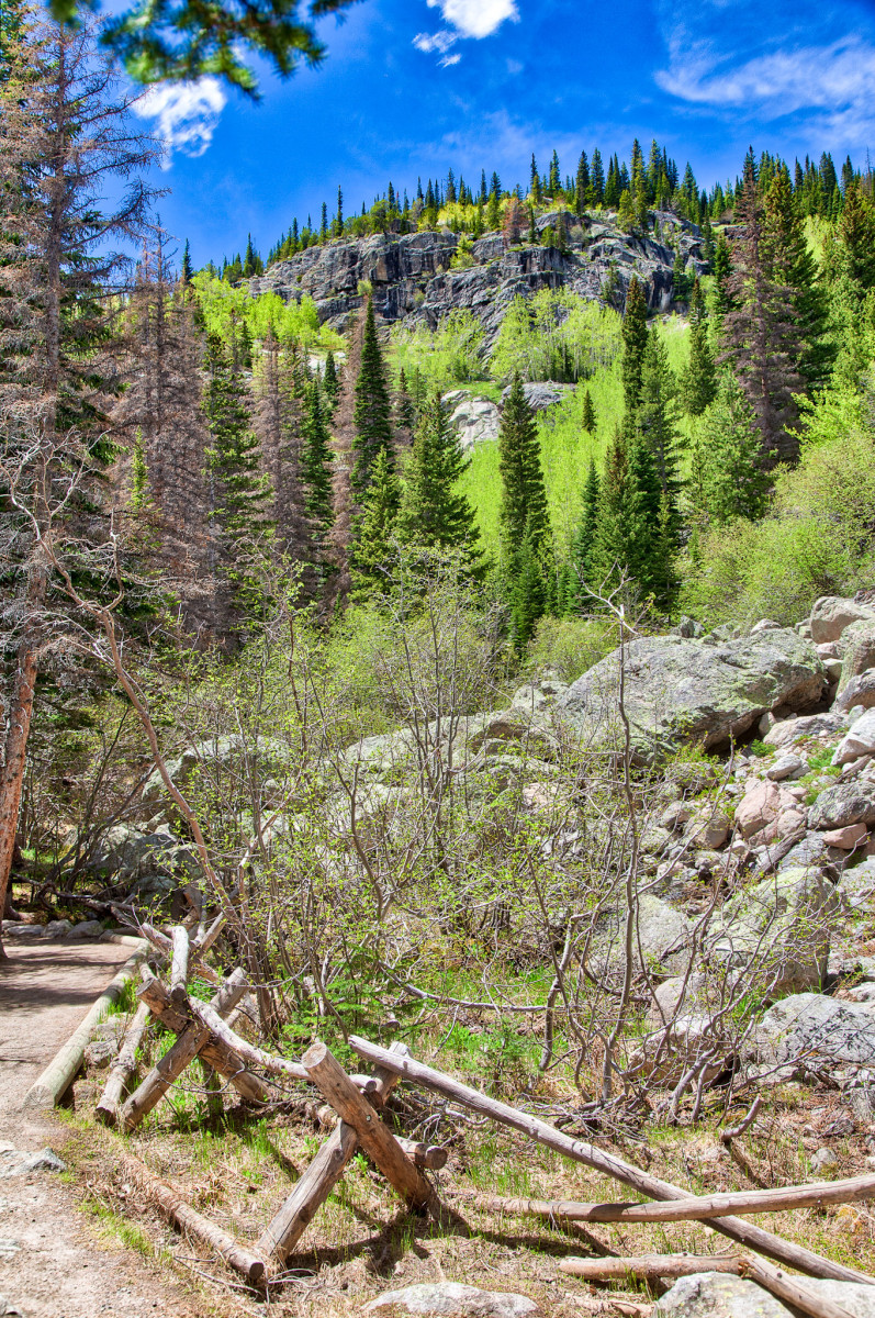 Bear Lake View