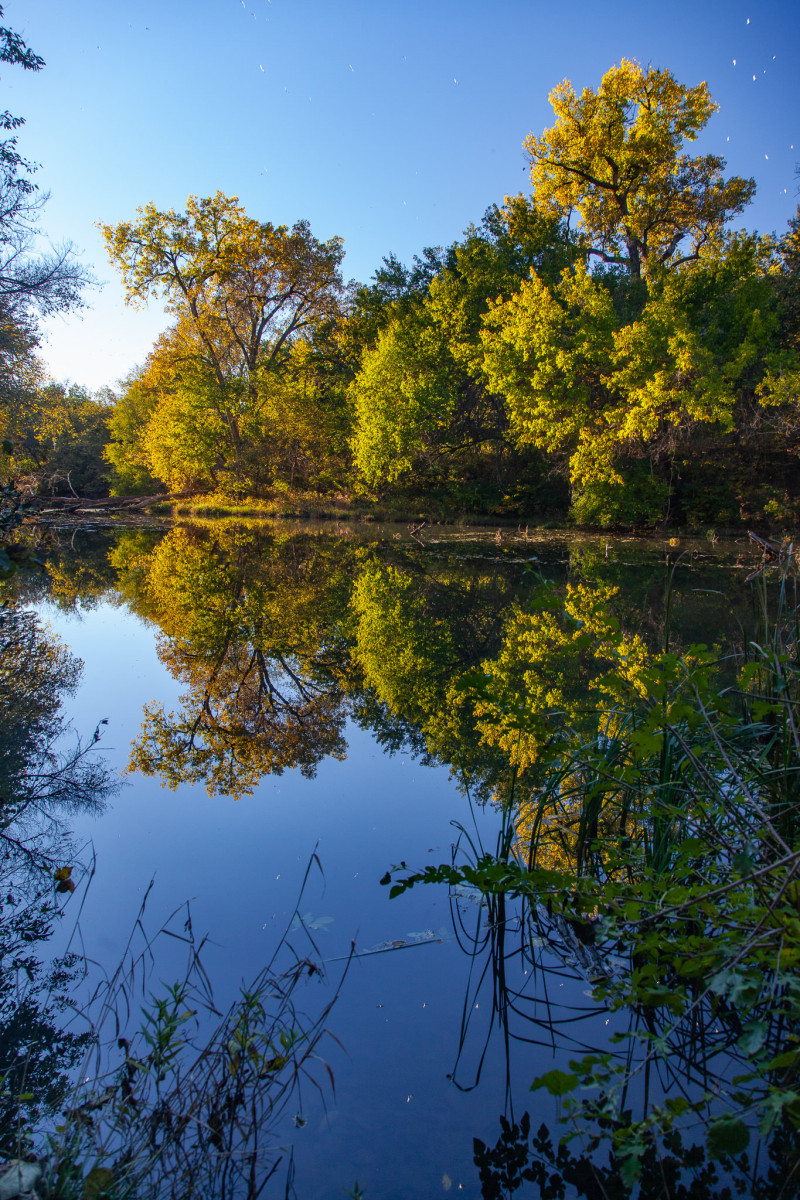 Sunset view, stream adjacent to the Kanopolis Dam spillway.  The seagulls in flight are reflected in the water!
