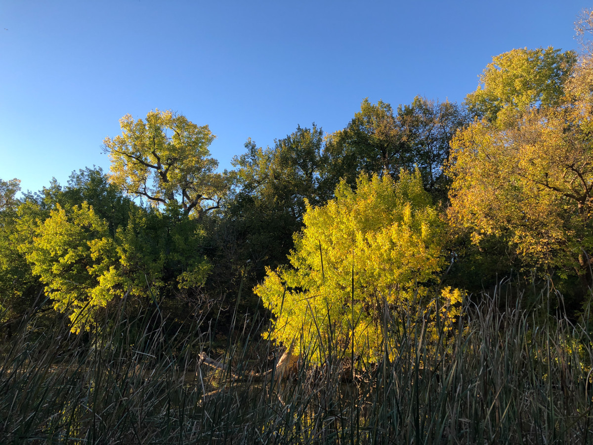 Sunset view, stream adjacent to the Kanopolis Dam spillway.