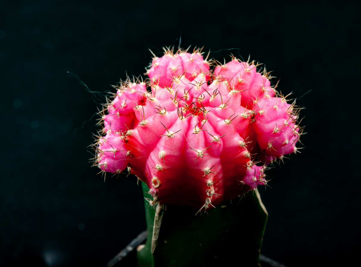Single shot at f/20
