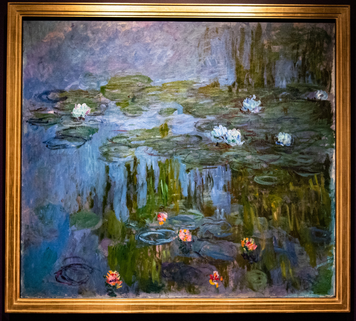Waterlilies