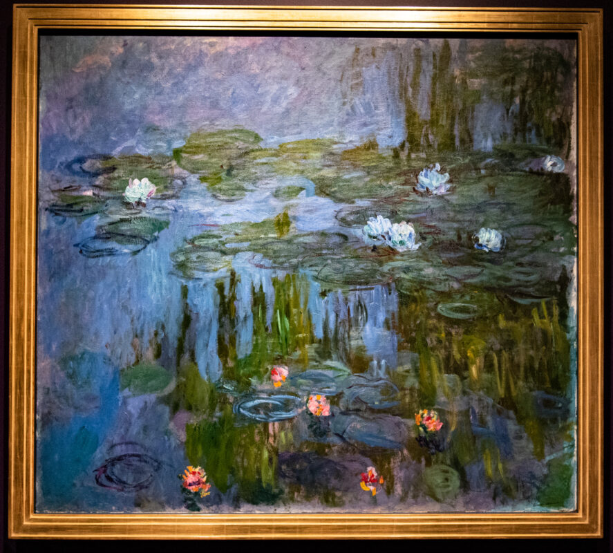 Waterlilies