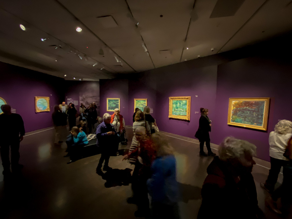 Monet at the D.A.M.