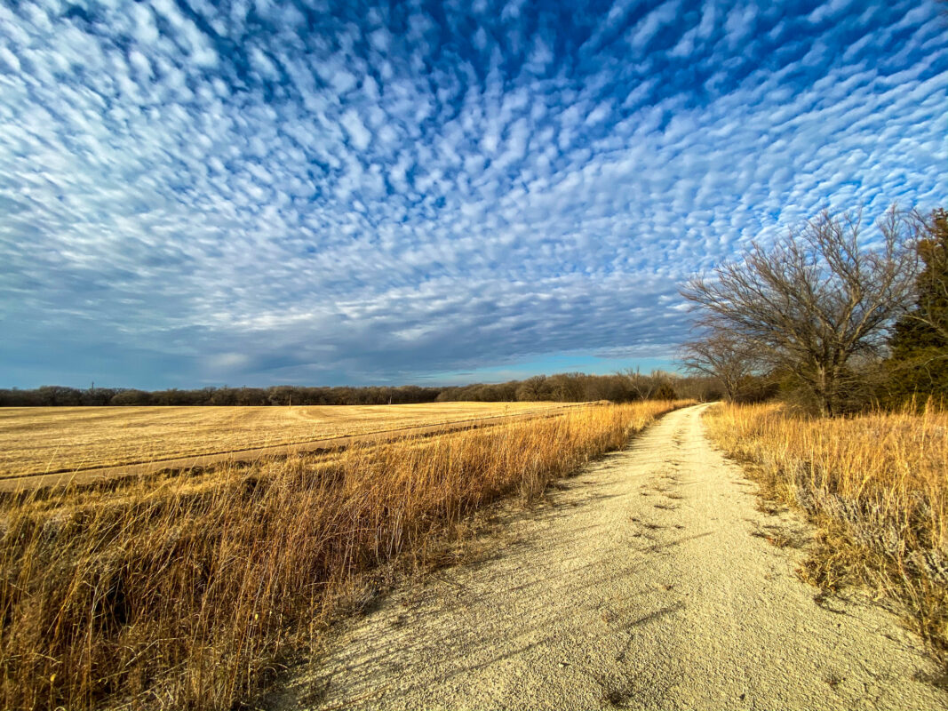 Meadowlark Trail, looking north