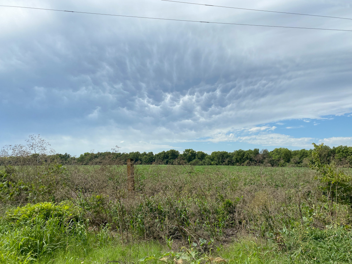 Lovely Mammatus Clouds