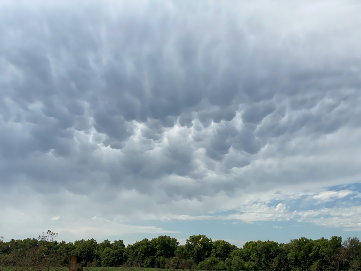 Lovely Mammatus Clouds