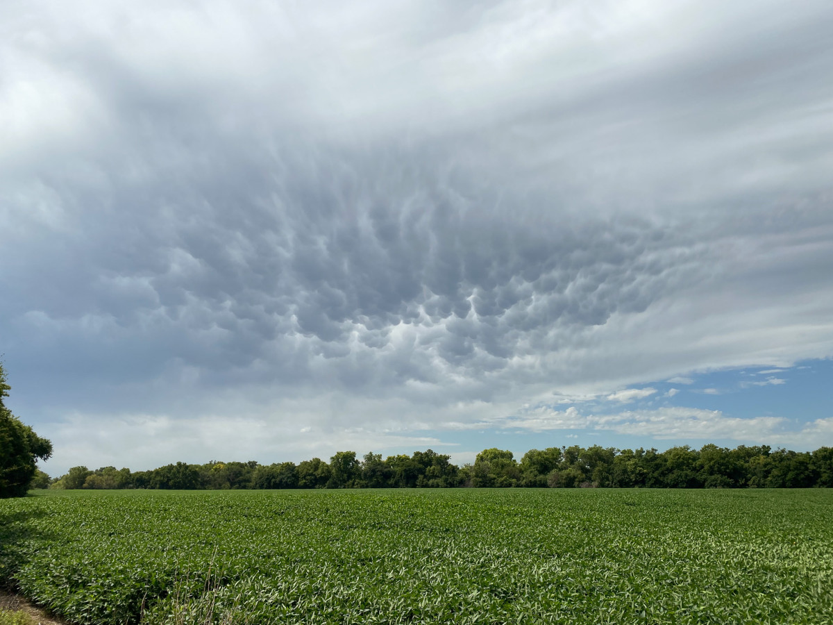Lovely Mammatus Clouds