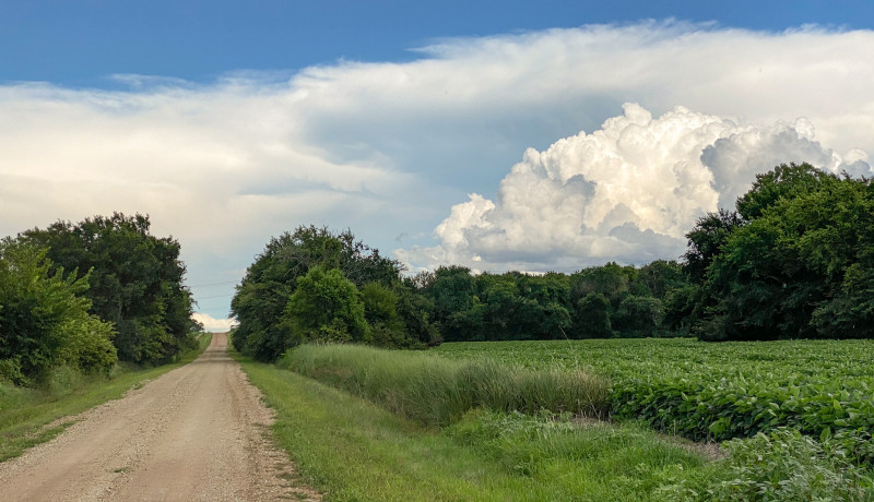 July Clouds