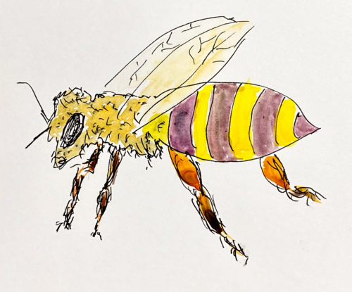 Inktober Day 15 - Honeybee