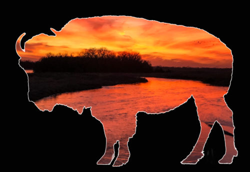 Bison View -- Nebraska Sunset