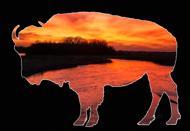 Bison View -- Nebraska Sunset