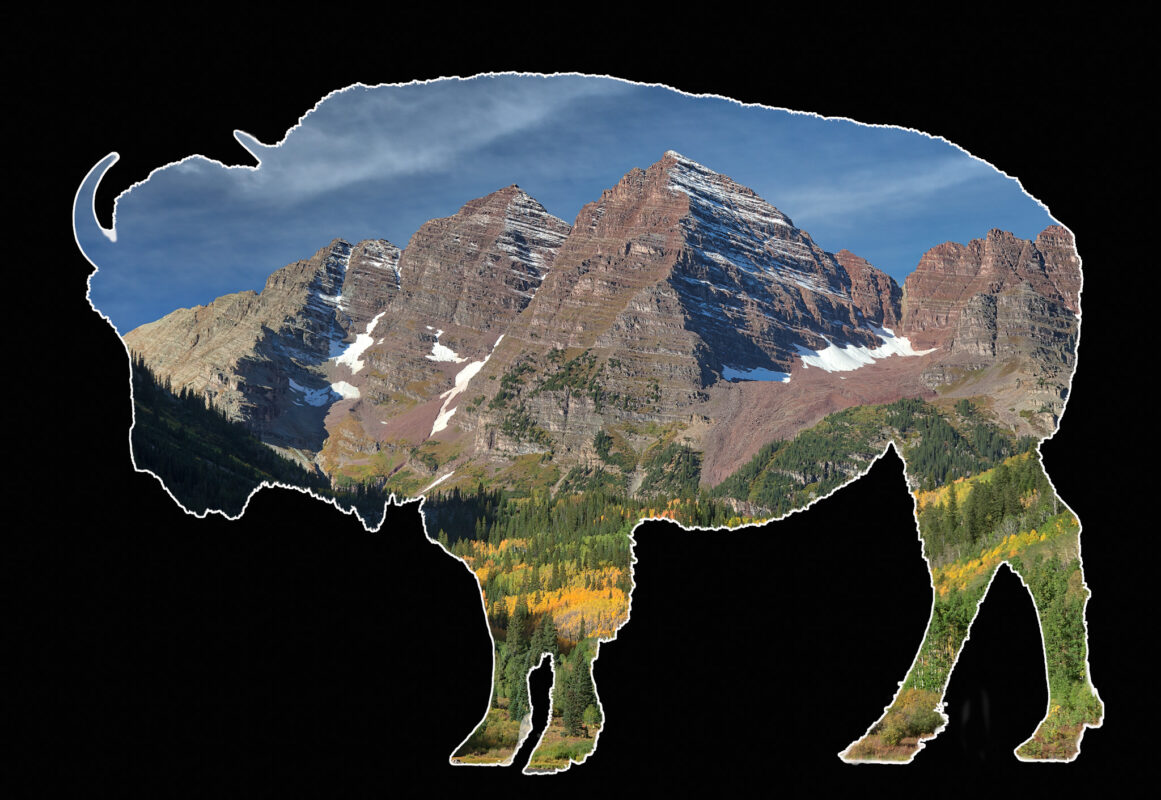 Bison Views -- Maroon Bells