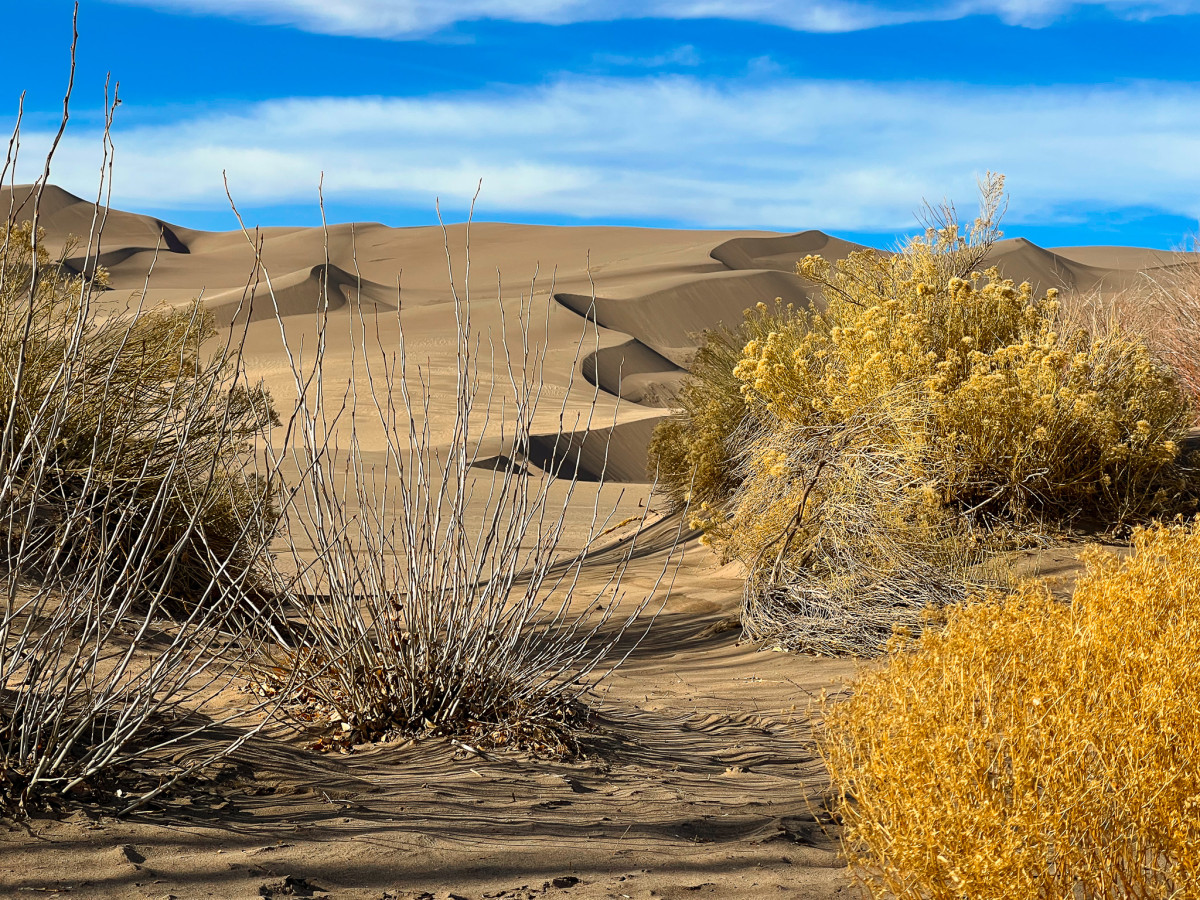 Great Sand Dunes