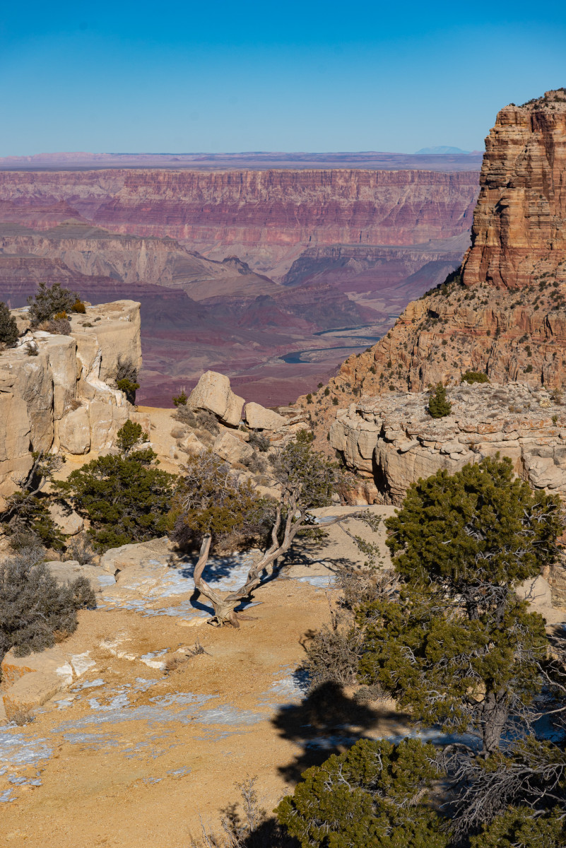 the Grand Canyon