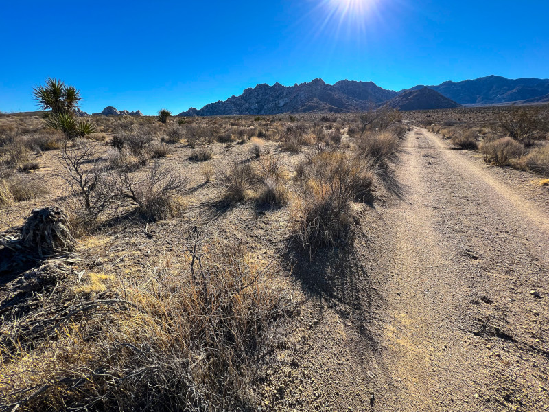 California Desert near Kelso