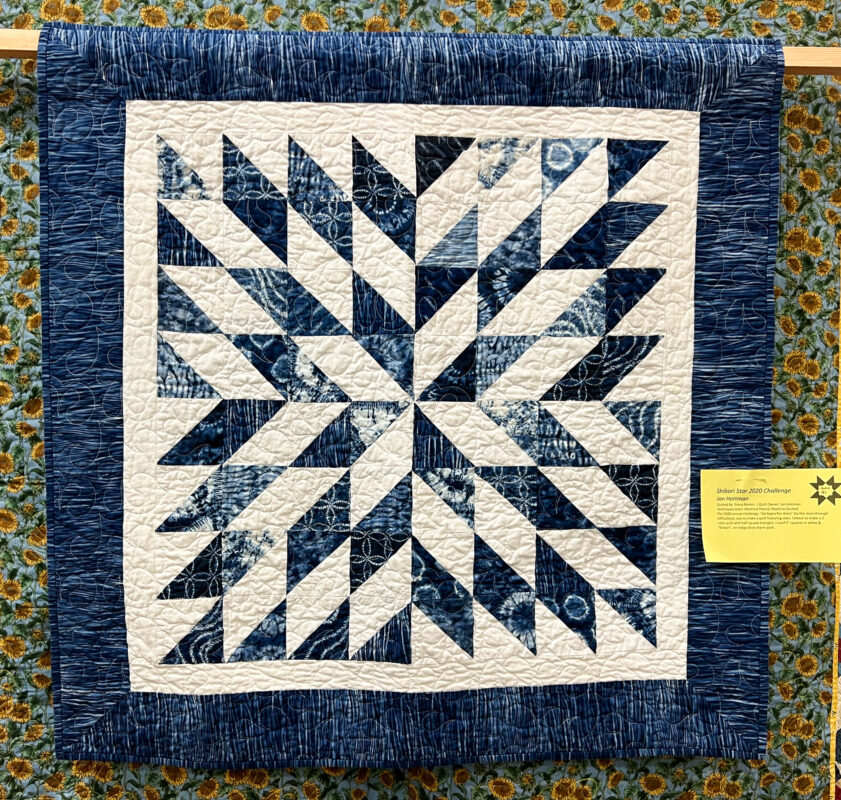 Favorite Quilts from Sunflower Journey Show