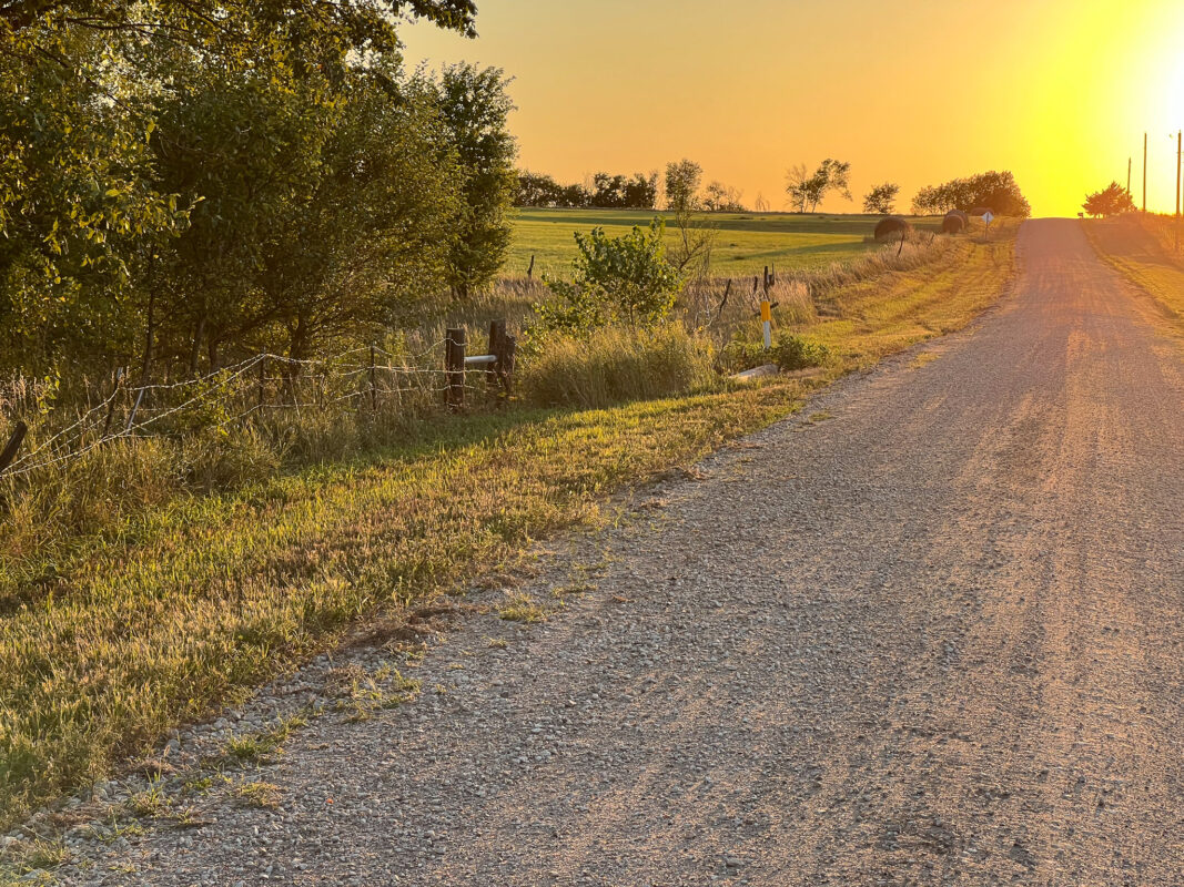 Early Evening; Late Summer