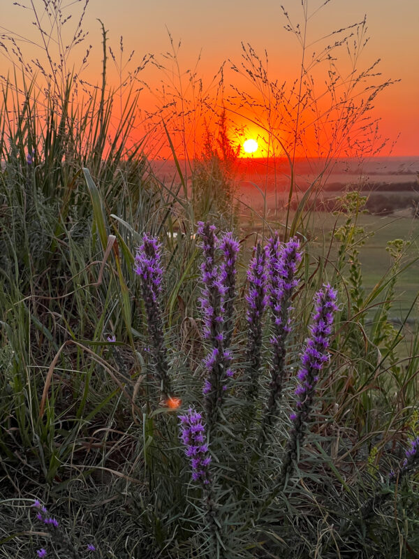 Coronado Heights Sunset