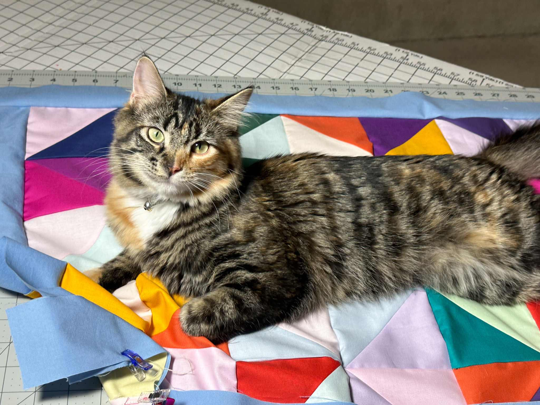 Althea helping with the quilt border