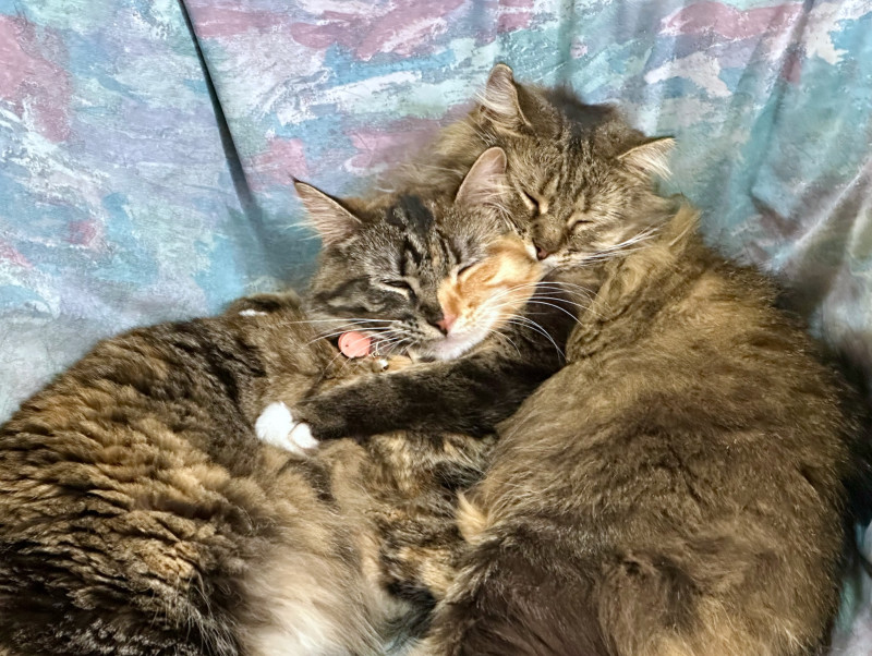 Althea and her mom, Princess.