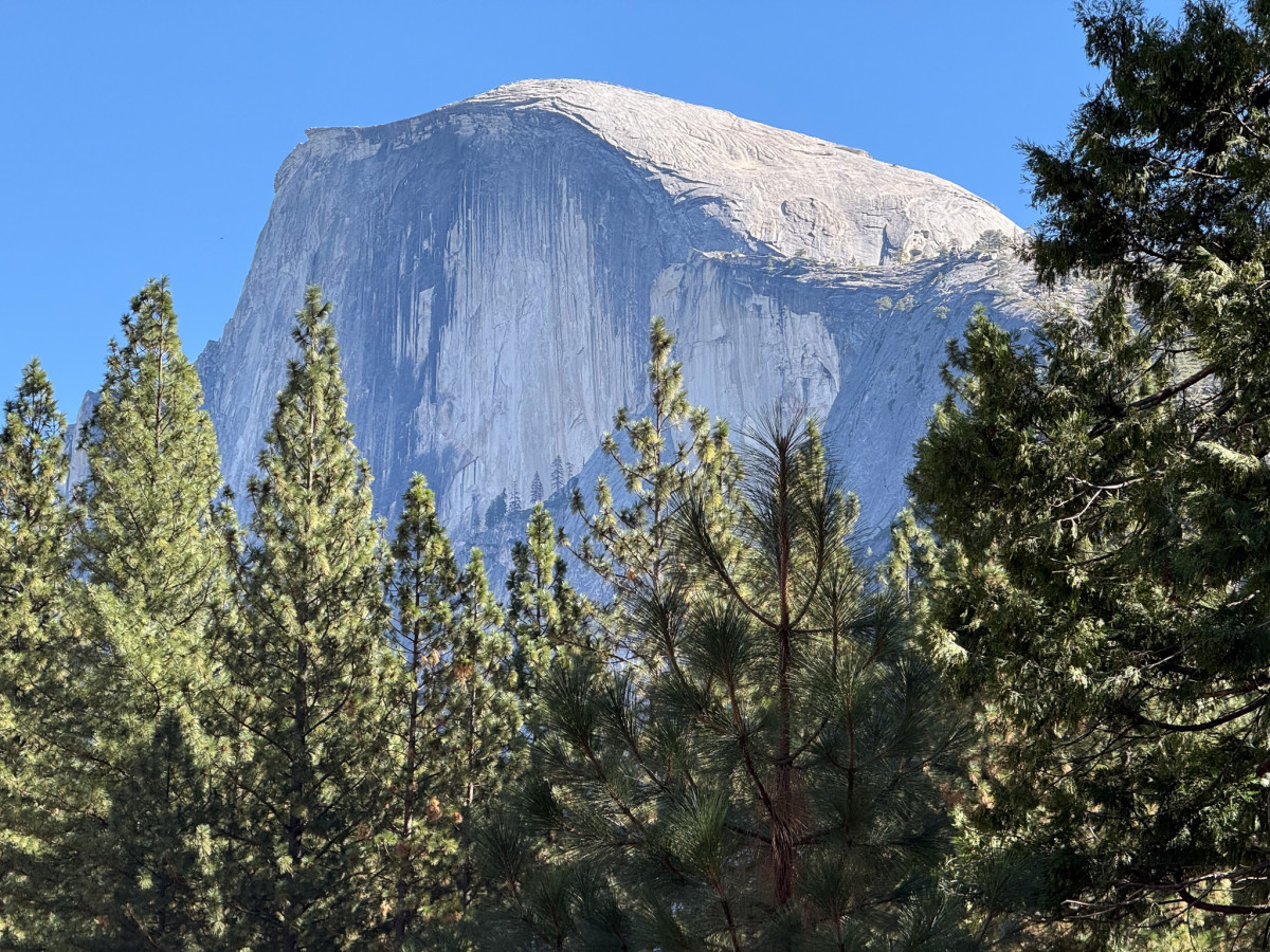 Half Dome in all its glory