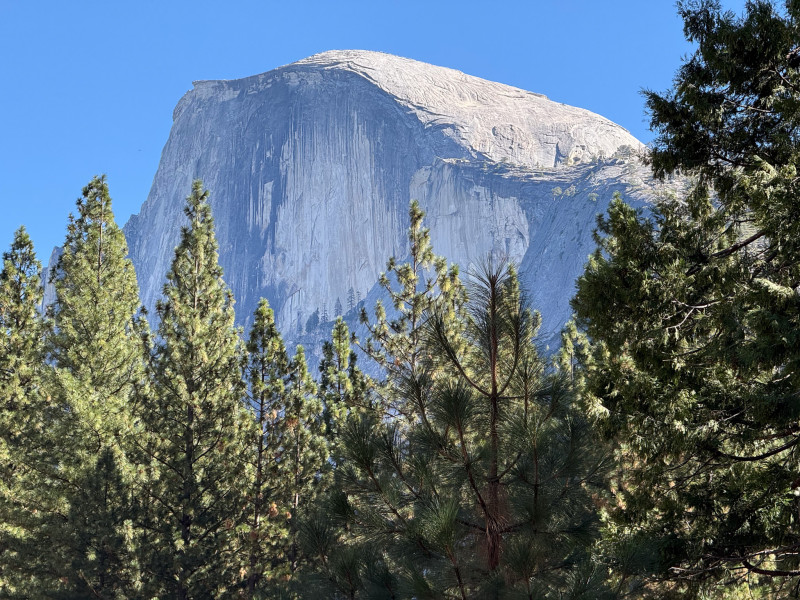 Half Dome in all its glory