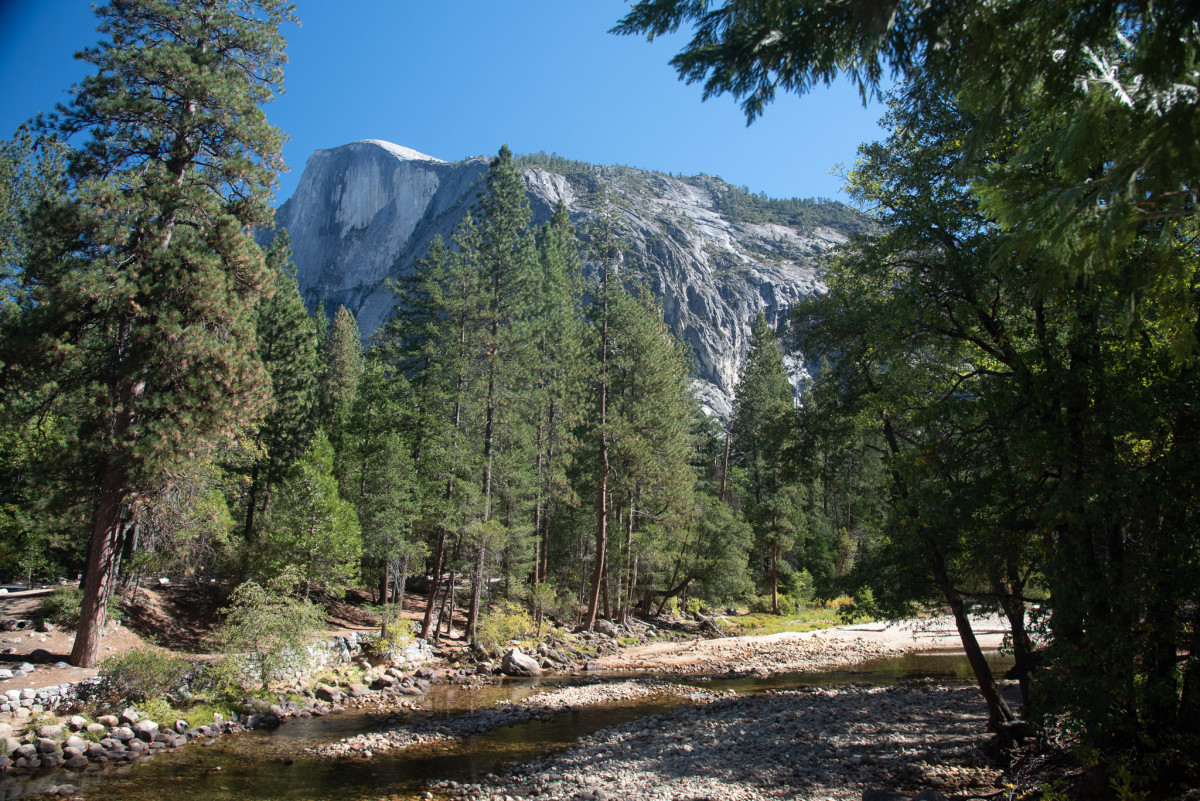 Half Dome above the river