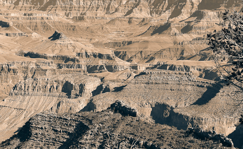 Grand Canyon in sepia
