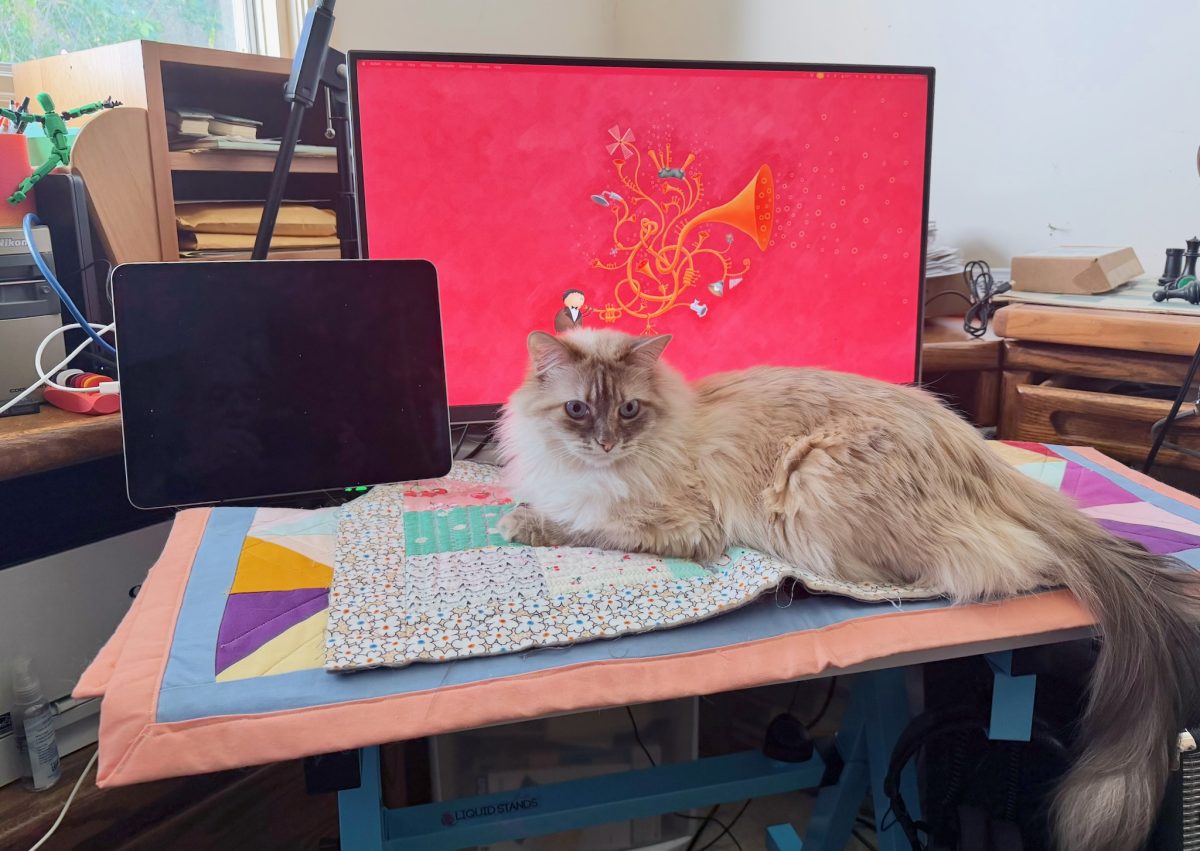 Cassidy lounging on the (covered) keyboard