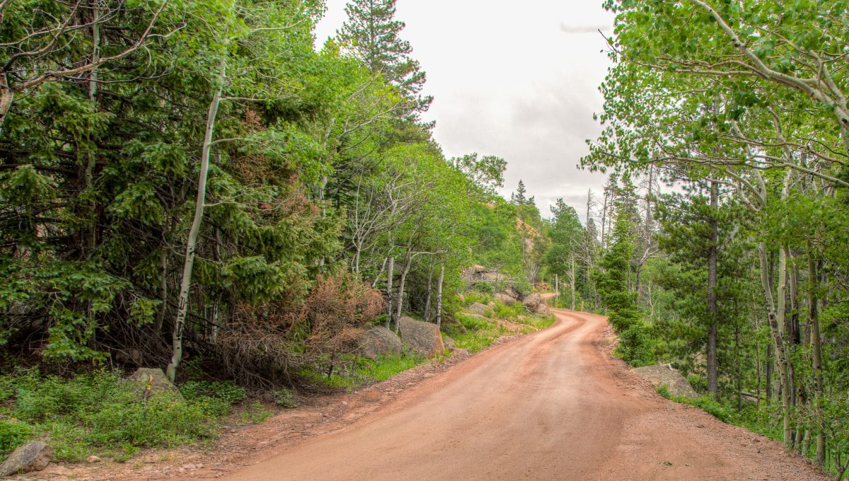 Fall River Road